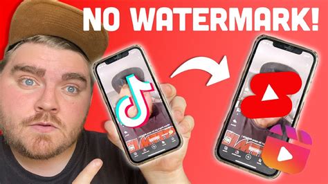 Paste the URL into the Tiktok downloader in the text box area above. . Download tiktoks no watermark